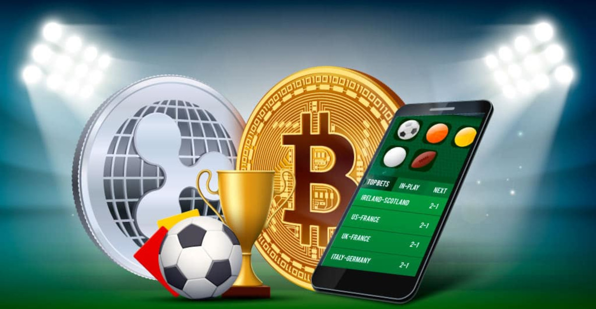 Discover the Thrills of Casinos With Unlimited Daily Cashback